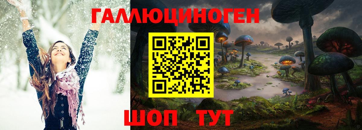 Галлюциногенные грибы Psilocybine cubensis Клин