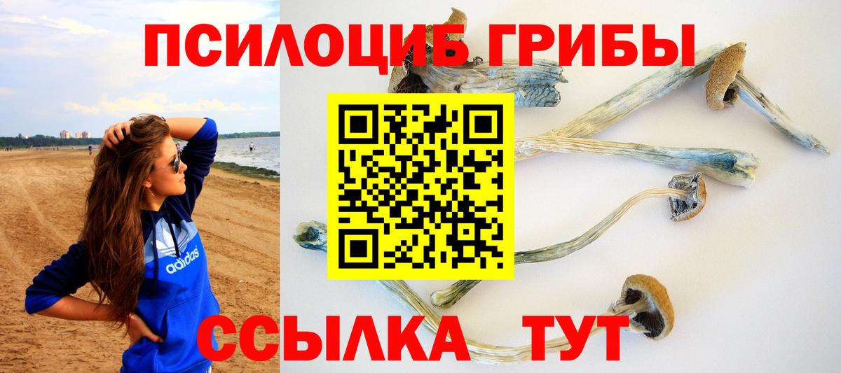 Галлюциногенные грибы прущие грибы  Галлюциногенные грибы ЛСД  сколько стоит  Клин  Вход с VPN 